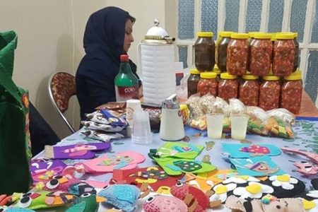 پرداخت ۹۲ میلیارد ریال تسهیلات مشاغل خانگی در شهرستان نیر